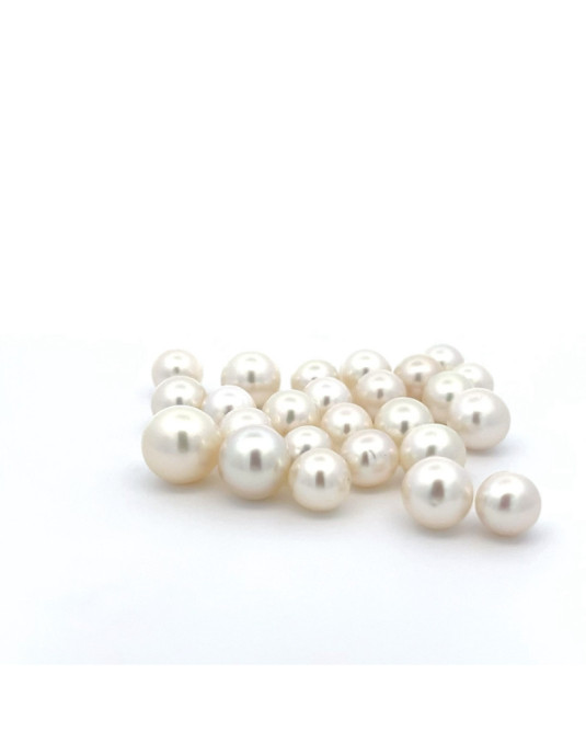 9mm+ fine  grade South Sea pearl, Indonesia