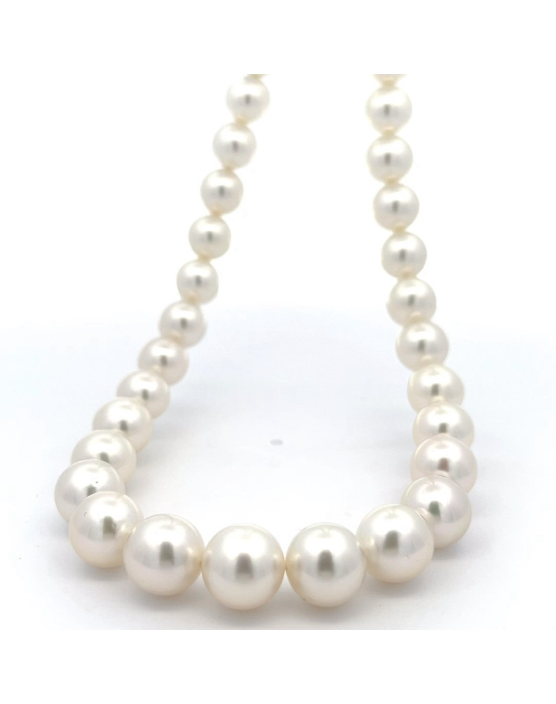 9mm+ fine  grade South Sea pearl, Indonesia