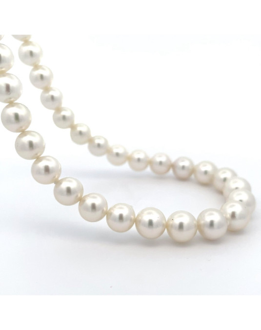 9mm+ fine  grade South Sea pearl, Indonesia