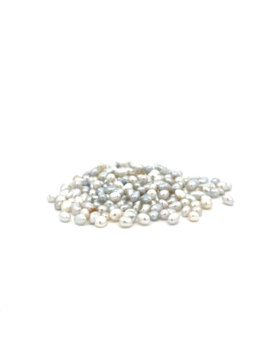 4-4.99mm South Sea pearl , origin Australia , fine  grade