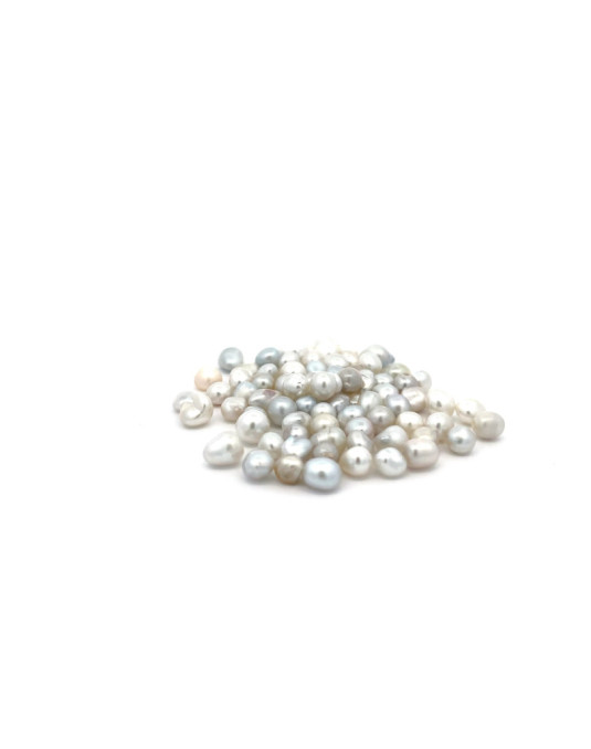 5-5.99mm South Sea pearl , origin Australia , fine  grade