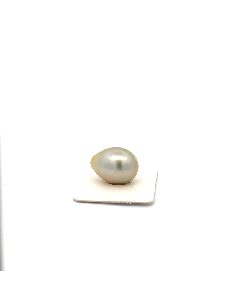 15.1x19.7mm Tahitian Black pearl , origin French Polynesia   , fine  grade