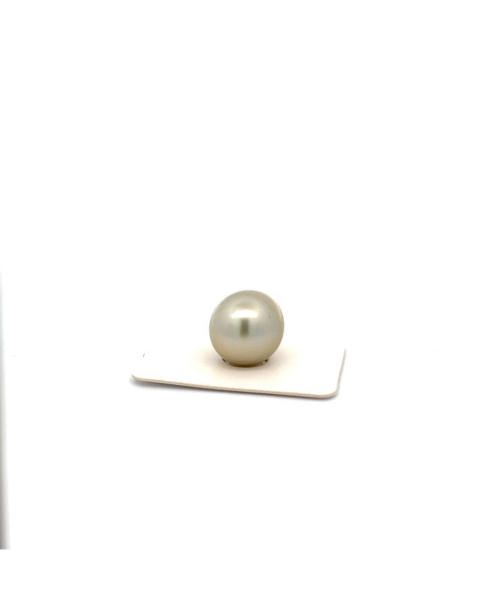 15.1x19.7mm Tahitian Black pearl , origin French Polynesia   , fine  grade