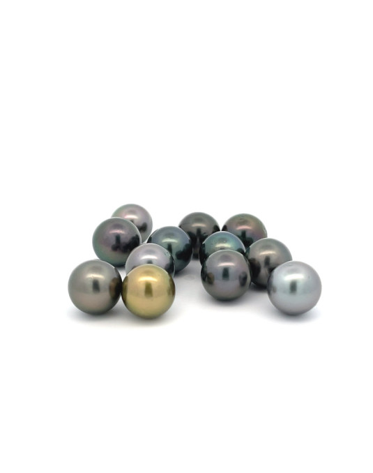 9mm+ jewel  grade Tahitian Black pearl, French Polynesia  