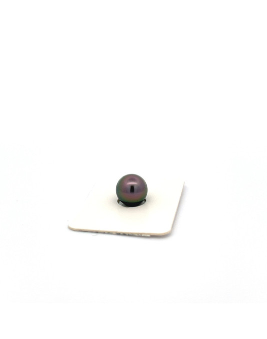 10.12mm Tahitian Black pearl , origin French Polynesia   , gem  grade