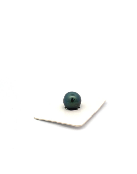 9mm+ fine  grade Tahitian Black pearl, French Polynesia  