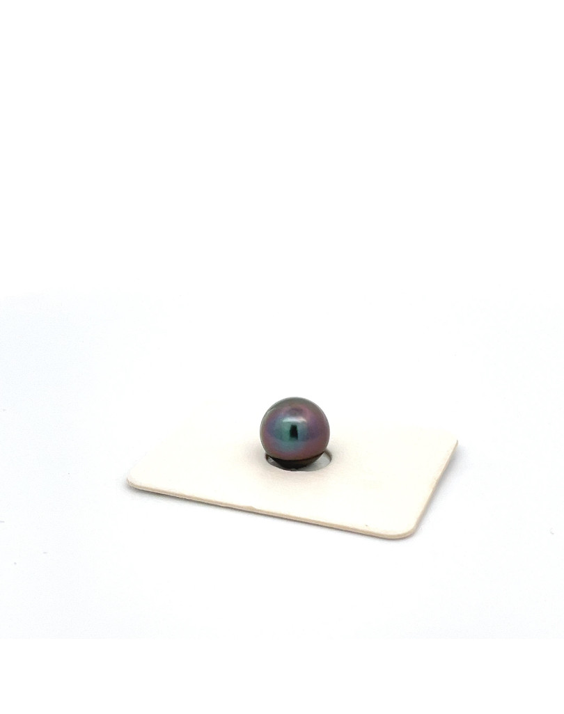 9mm+ jewel  grade Tahitian Black pearl, French Polynesia  