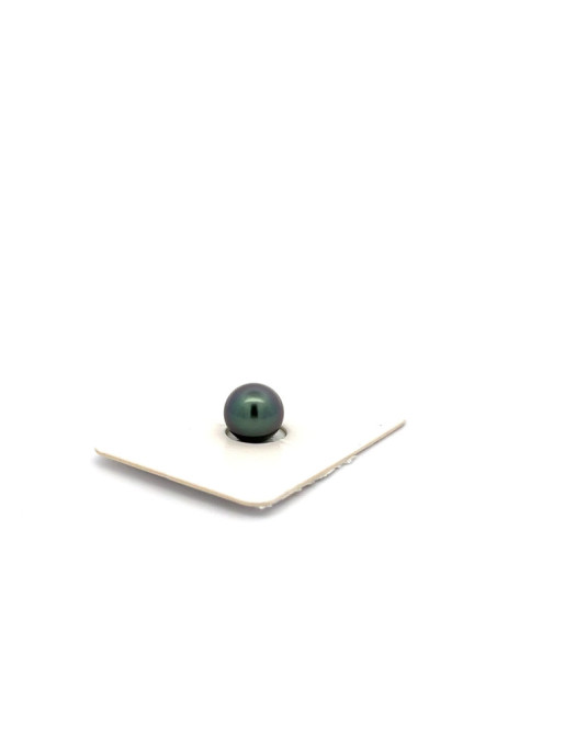 6mm+ fine  grade Tahitian Black pearl, French Polynesia  