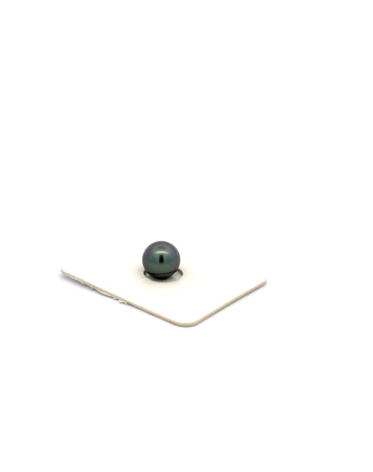 6mm+ fine  grade Tahitian Black pearl, French Polynesia  