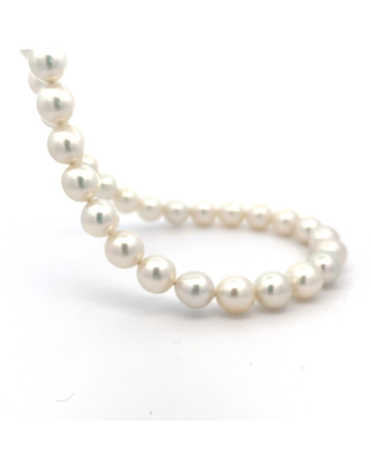 9mm+ fine  grade South Sea pearl, Indonesia