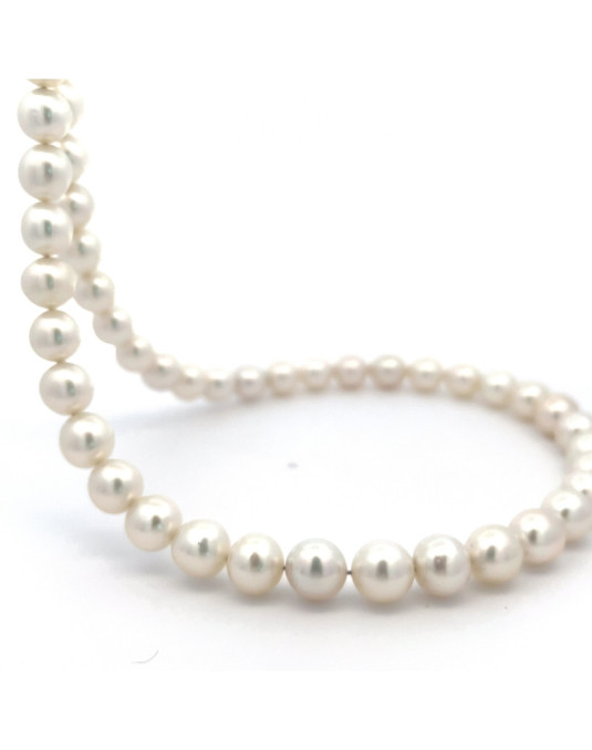 9-9.73mm South Sea pearl , origin Indonesia , fine  grade