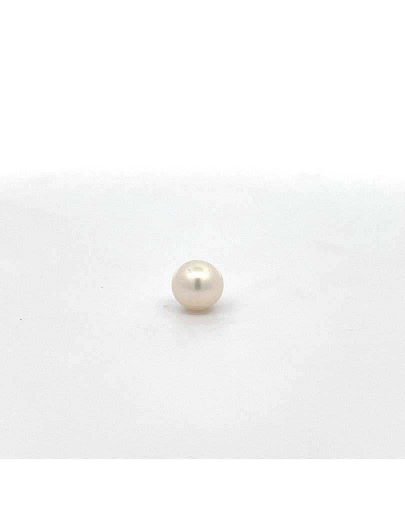 9mm+ jewel  grade South Sea pearl, Indonesia