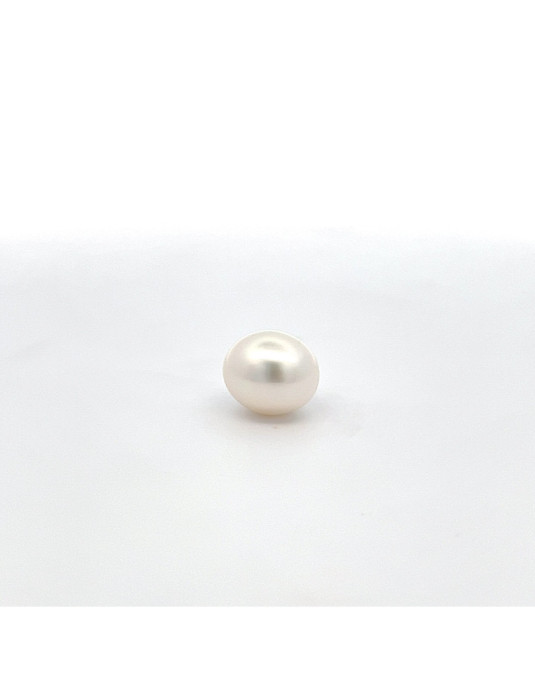 11.1*12.9mm South Sea pearl , origin Indonesia , fine  grade