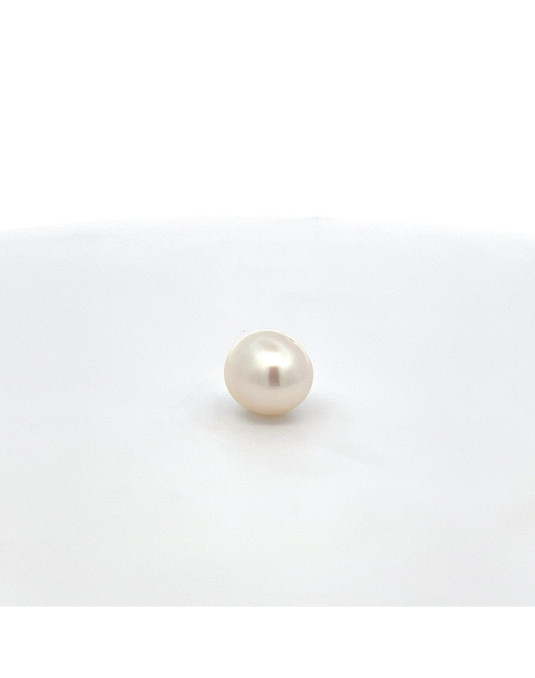 11.8*12.57 South Sea pearl , origin Indonesia , fine  grade