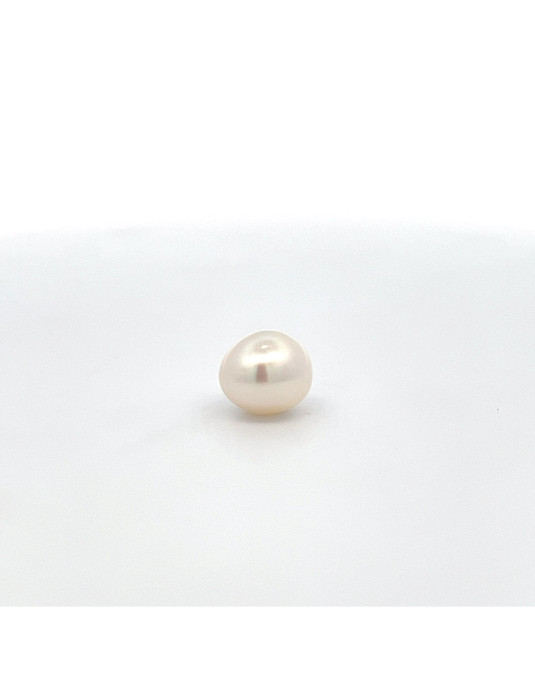 11.8*12.57 South Sea pearl , origin Indonesia , fine  grade