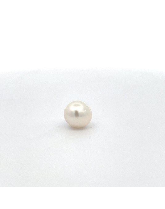 9mm+ fine  grade South Sea pearl, Indonesia