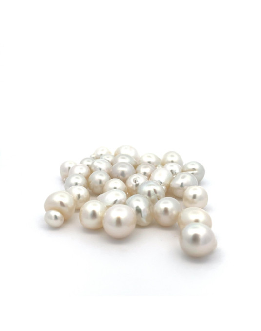 10-13.9mm South Sea pearl , origin Indonesia , jewel  grade