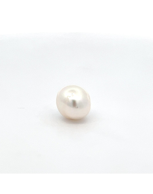 13.95mm*11.26mm South Sea pearl , origin Indonesia , jewel  grade