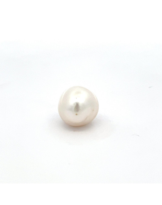 15.26mm*12.4mm South Sea pearl , origin Indonesia , jewel  grade