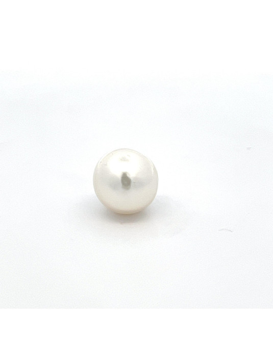 16.3mm*11.9mm South Sea pearl , origin Indonesia , jewel  grade
