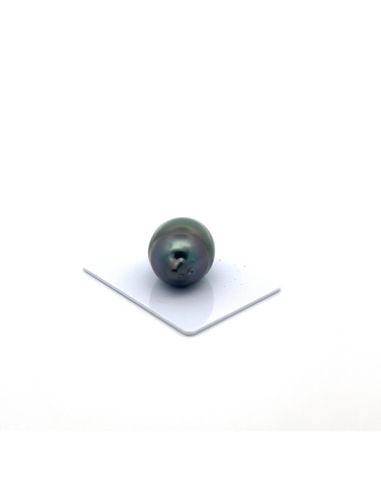 15mm+ fine  grade Tahitian Black pearl, French Polynesia  