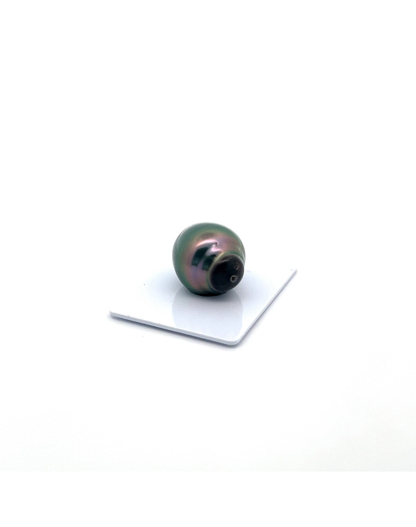 15mm+ fine  grade Tahitian Black pearl, French Polynesia  