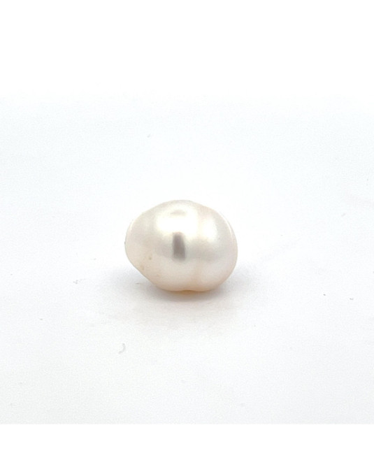 15.26mm*12.4mm South Sea pearl , origin Indonesia , jewel  grade