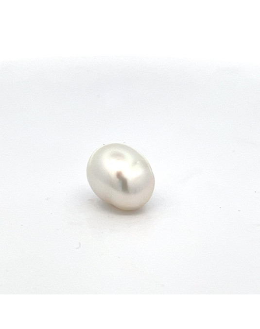 9mm+ jewel  grade South Sea pearl, Indonesia