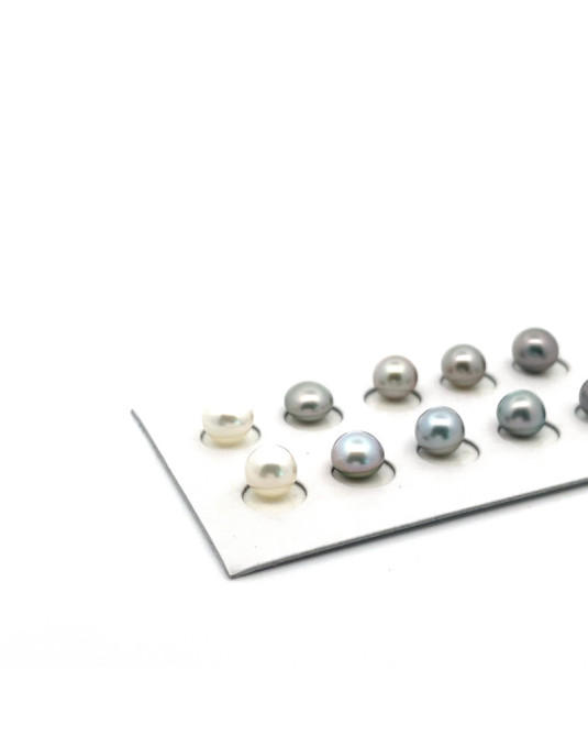 6mm+ gem  grade Tahitian Black pearl, French Polynesia  