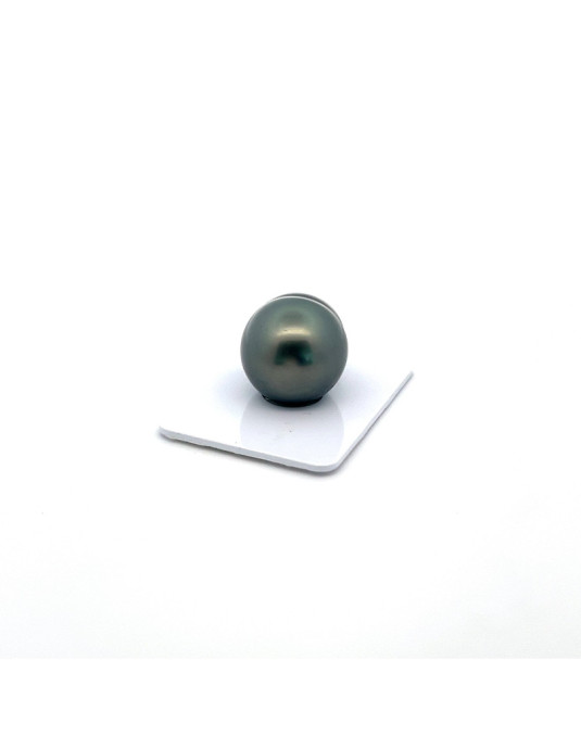 20.60X17.55mm Tahitian Black pearl , origin French Polynesia   , fine  grade