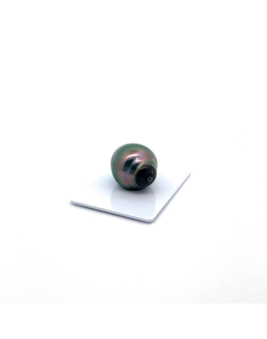 19.77X16.49mm Tahitian Black pearl , origin French Polynesia   , fine  grade