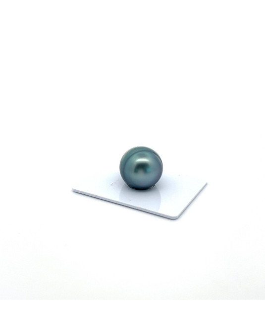 15mm+ fine  grade Tahitian Black pearl, French Polynesia  