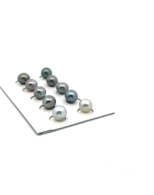 6mm+ gem  grade Tahitian Black pearl, French Polynesia  