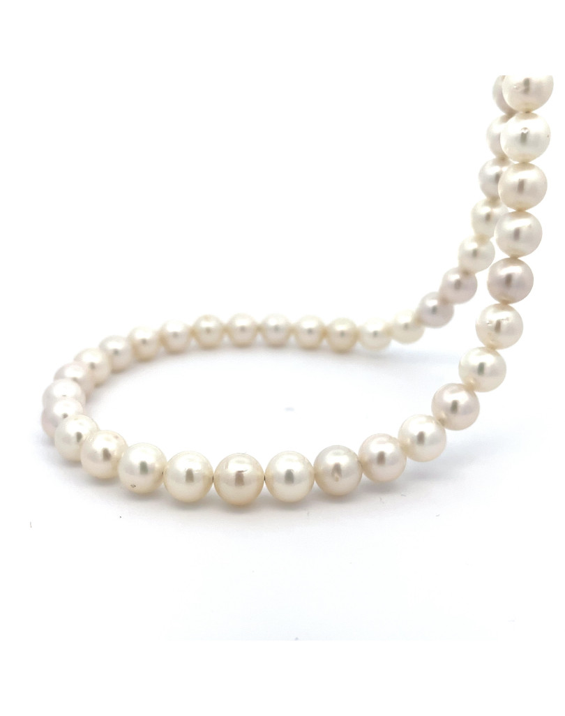 8.8-8.99mm South Sea pearl , origin Indonesia , jewel  grade