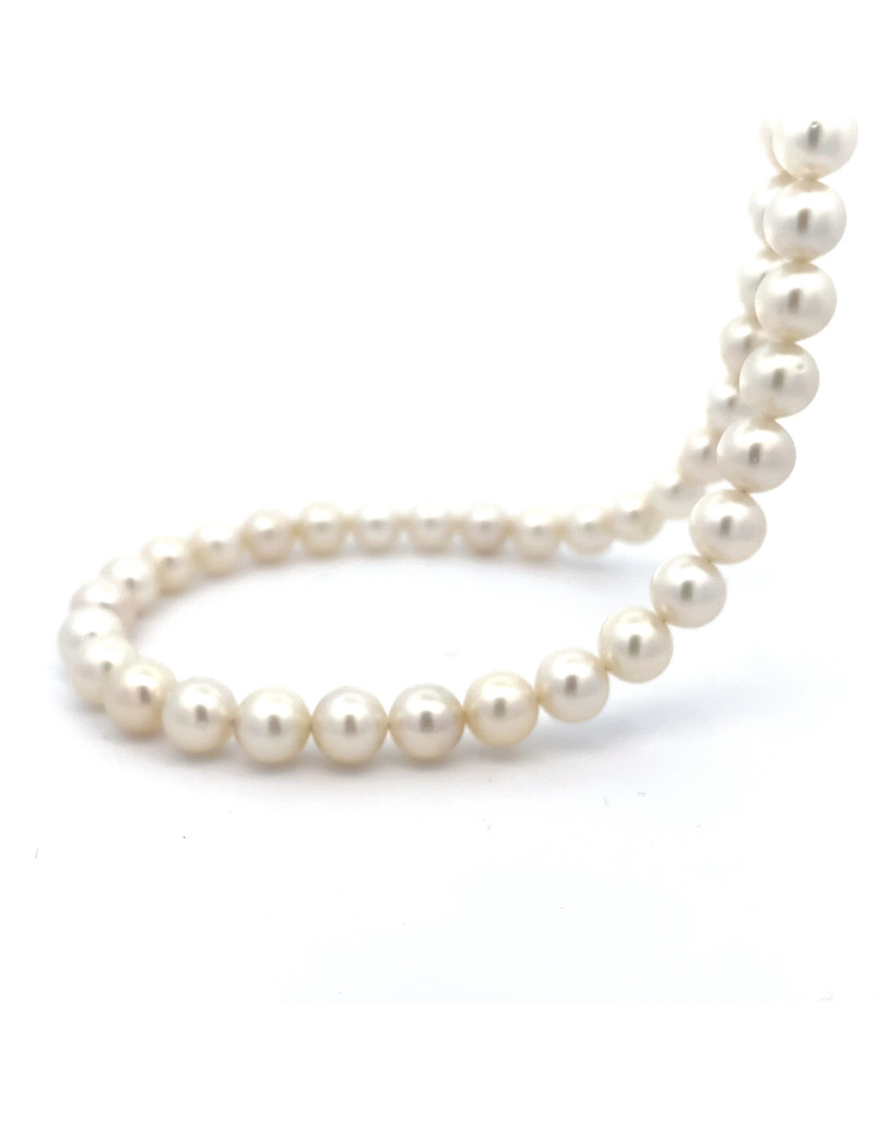 6mm+ jewel  grade South Sea pearl, Indonesia