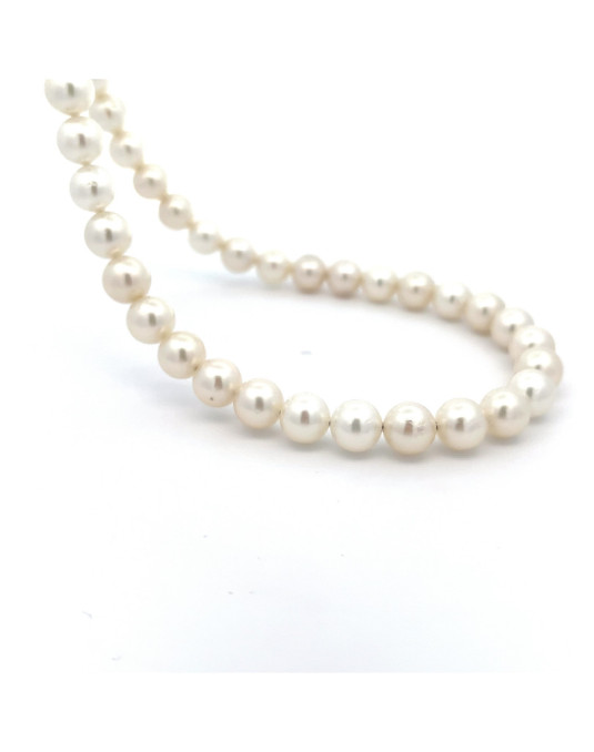 8-8.49mm South Sea pearl , origin Indonesia , jewel  grade