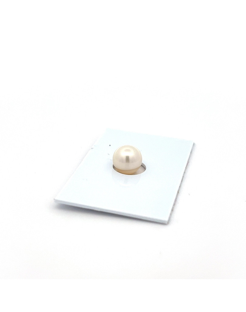 6mm+ fine  grade South Sea pearl, Indonesia