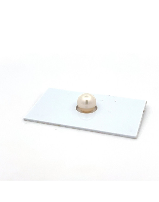 6mm+ fine  grade South Sea pearl, Indonesia