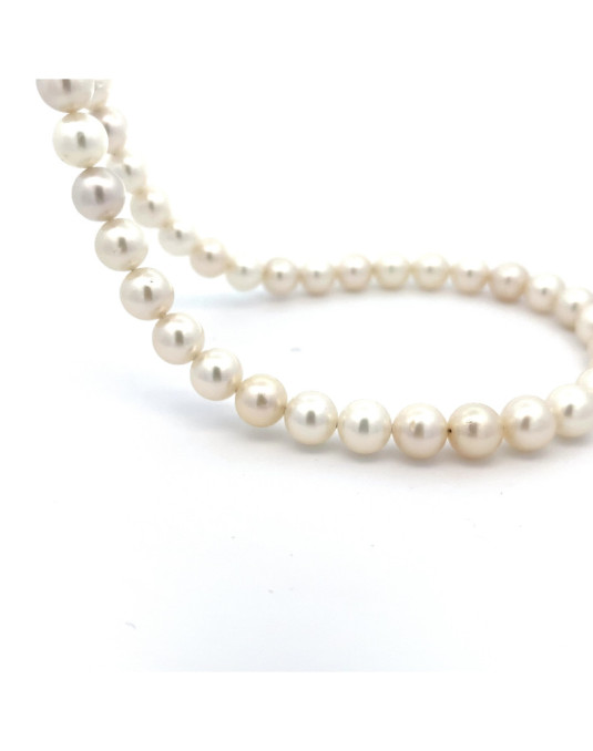 8.5-8.79mm South Sea pearl , origin Indonesia , jewel  grade