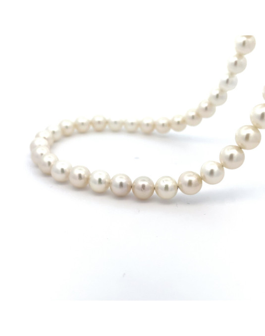 6mm+ jewel  grade South Sea pearl, Indonesia