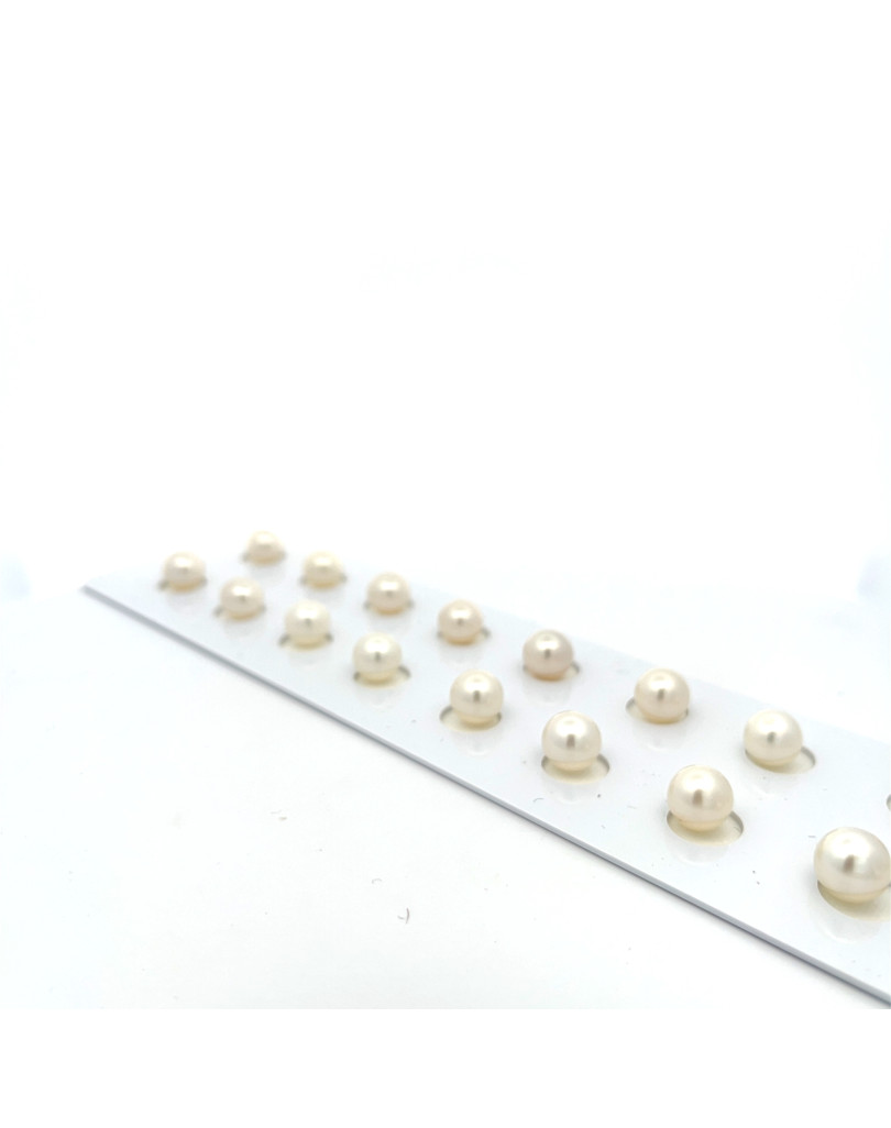 6mm+ fine  grade South Sea pearl, Indonesia