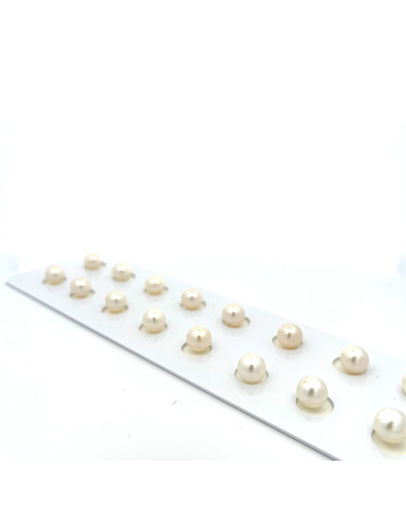 6mm+ fine  grade South Sea pearl, Indonesia