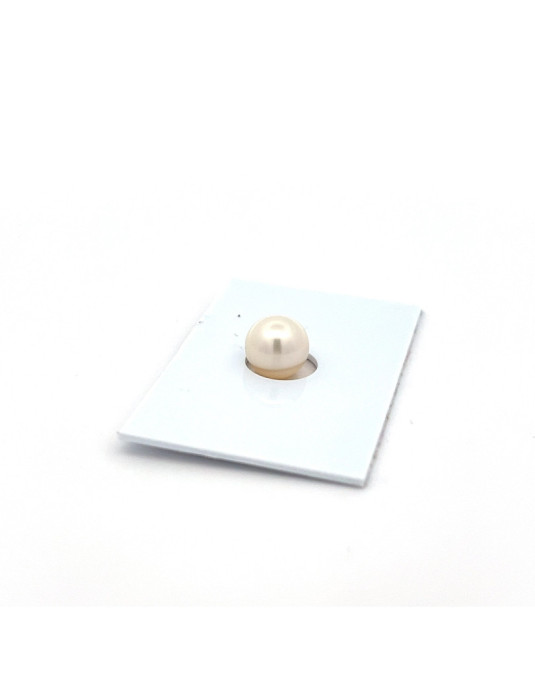 6mm+ fine  grade South Sea pearl, Indonesia