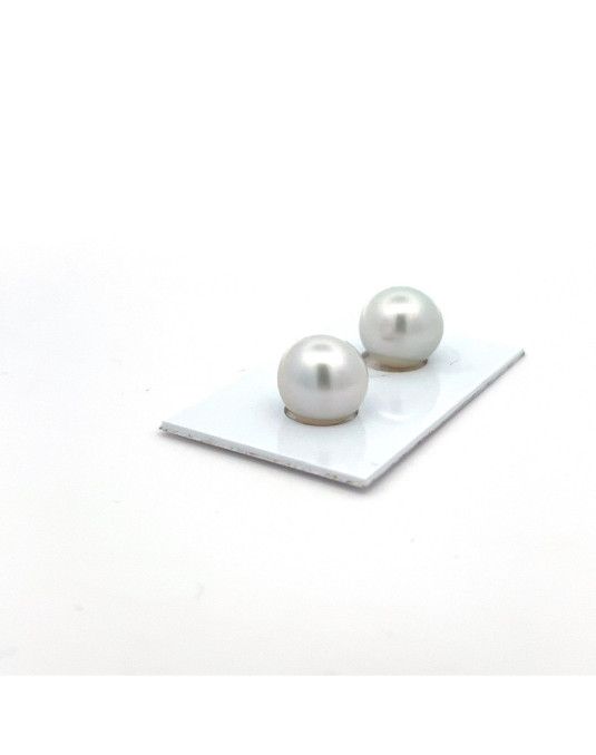 12.05/12.06mm South Sea pearl , origin Australia , fine  grade