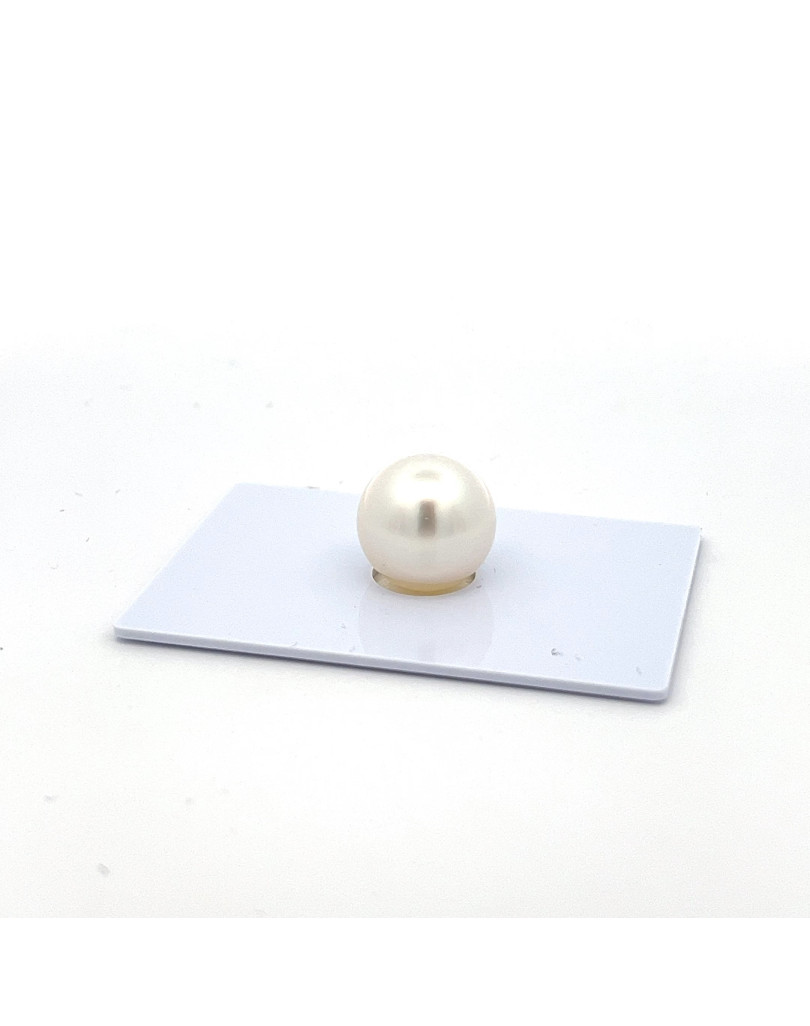 9mm+ gem  grade South Sea pearl, Australia