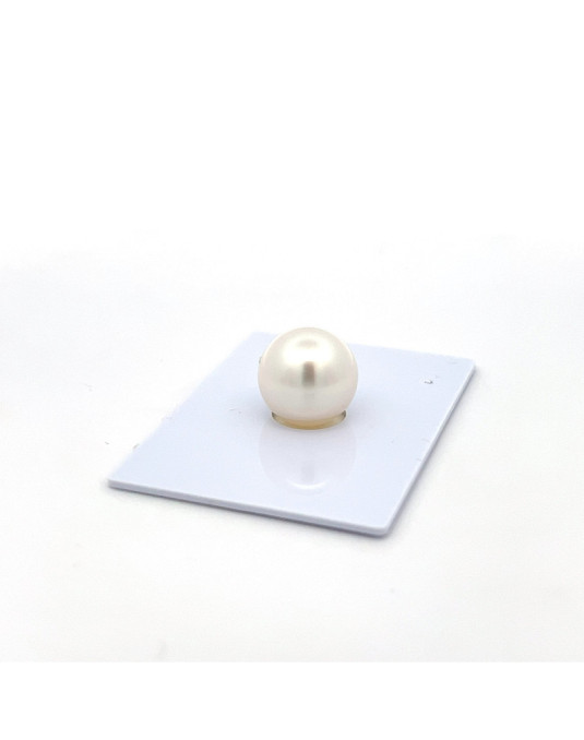 9mm+ gem  grade South Sea pearl, Australia