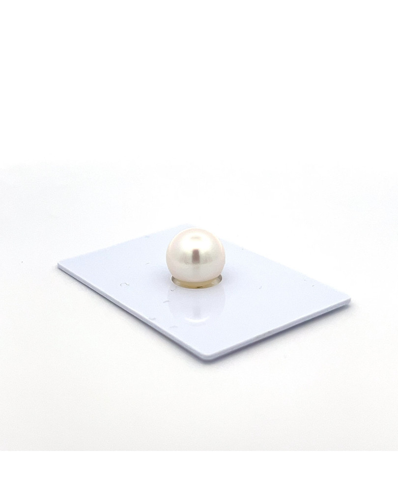 9mm+ gem  grade South Sea pearl, Australia