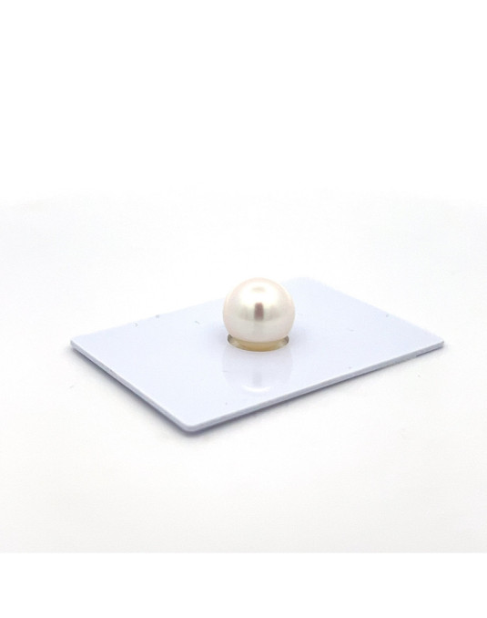 9mm+ gem  grade South Sea pearl, Australia