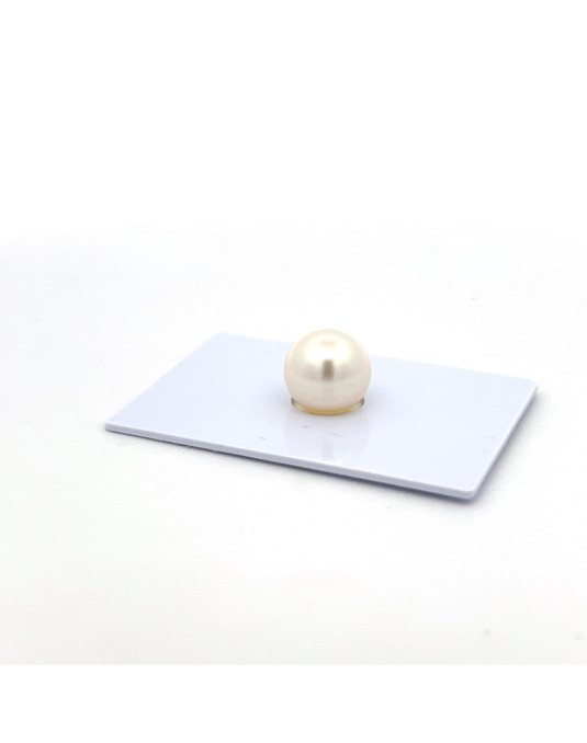 9mm+ gem  grade South Sea pearl, Australia