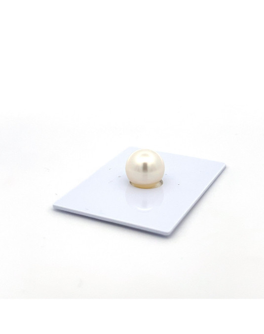 9mm+ gem  grade South Sea pearl, Australia